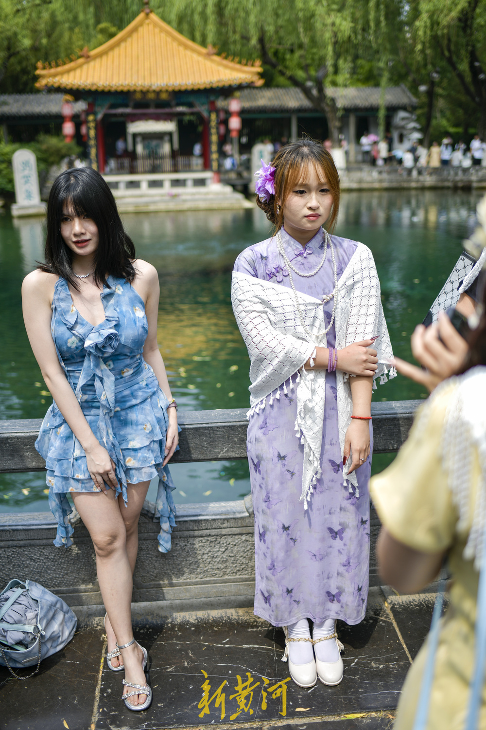一年四季 泉在济南丨旗袍的风吹到了趵突泉  新中式旅游打卡爆红