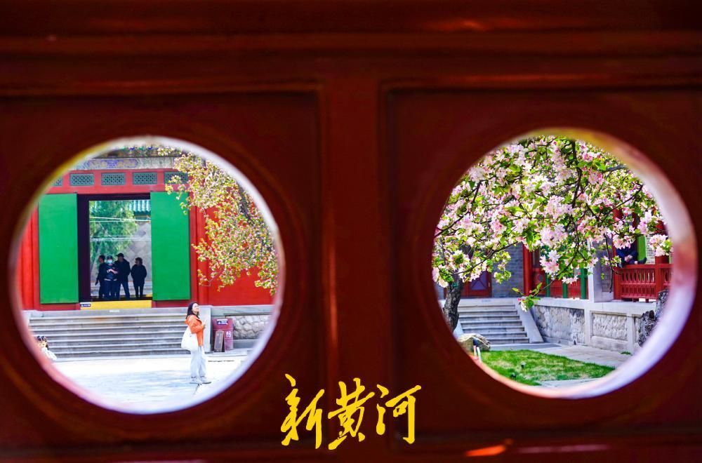 一年四季 泉在济南丨百年老街邂逅春日花事 古建筑博物馆迎来首个赏花季
