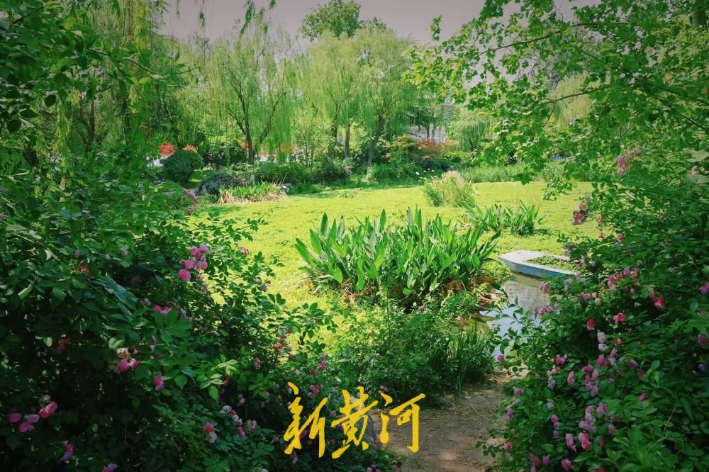 大明湖遐园藏着“莫奈花园”，随手一拍就是无滤镜大片
