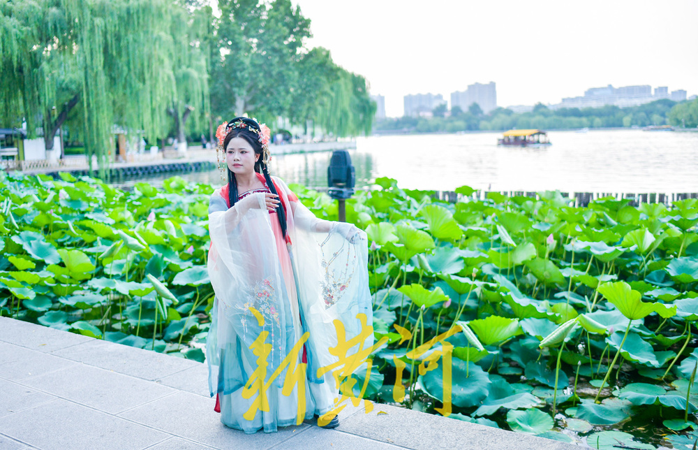明湖堤岸变身网红打卡点  沉浸式体验“夏雨荷”赏荷