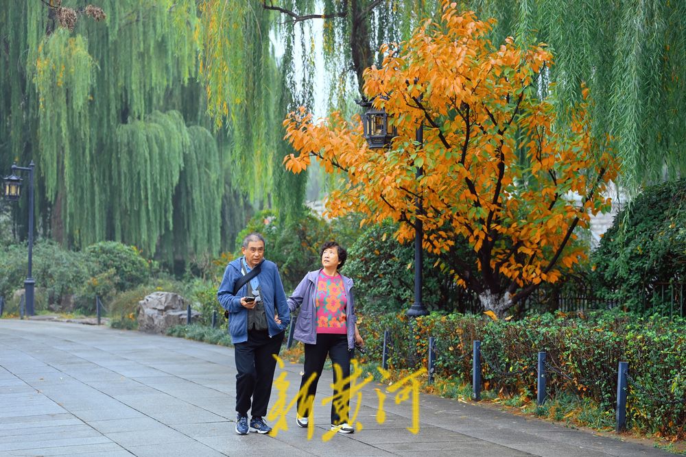 雨后大明湖，冬雾中更显宁静与祥和