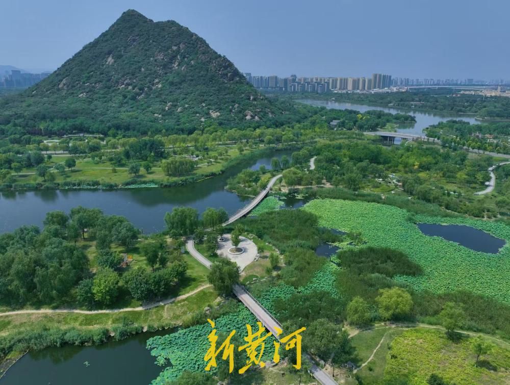 藏在济南的避暑圣地 华山湖畔绿意正盛遮酷暑