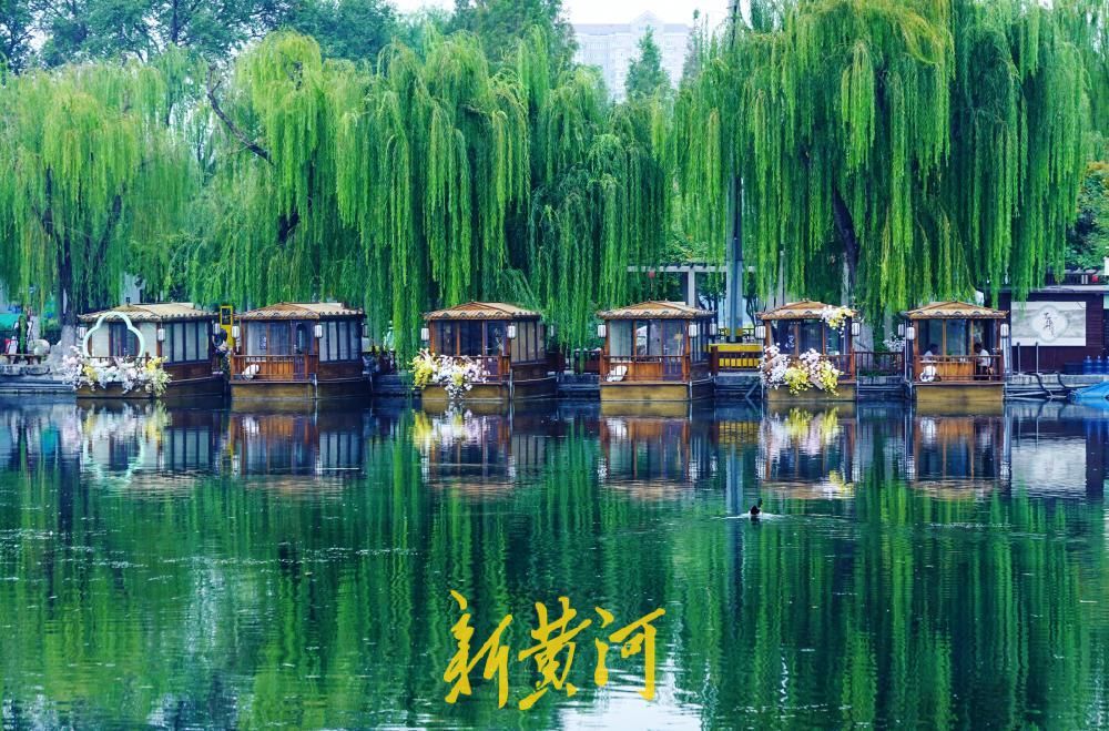 济南百花洲秋色入画来，残荷垂柳倒映成景