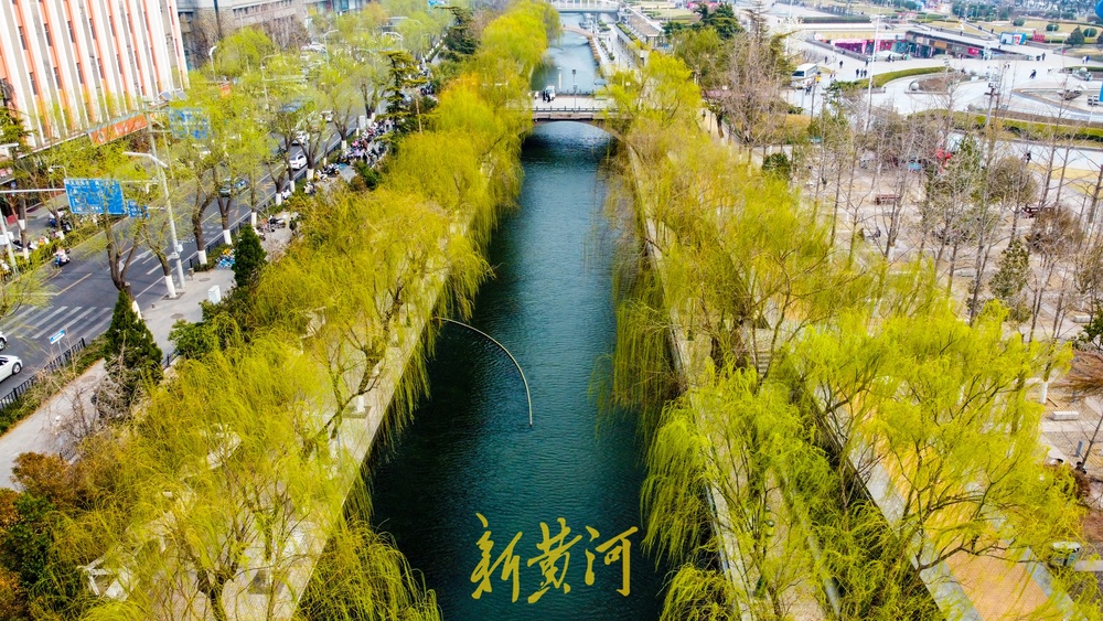 垂柳泛绿与碧水相伴，济南护城河春色渐浓