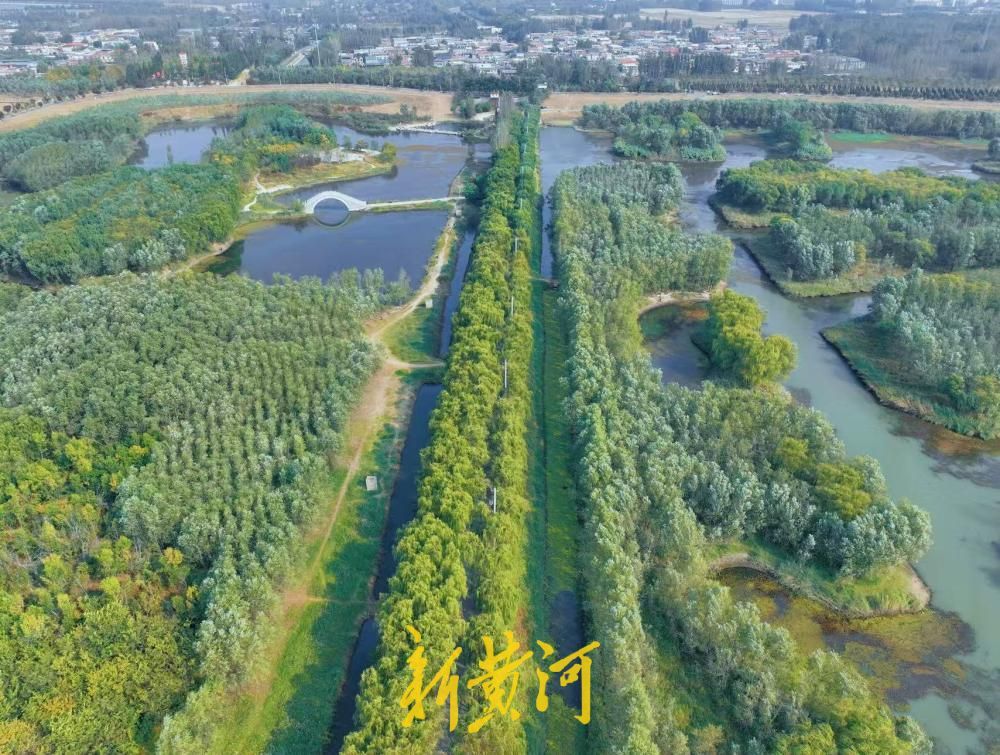 赏秋好去处，济南小清河源头湿地公园美景上线