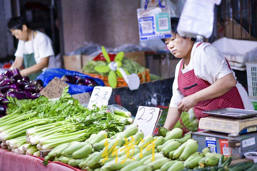 济南蔬菜15涨27降25平，青叶类价格进一步回落  