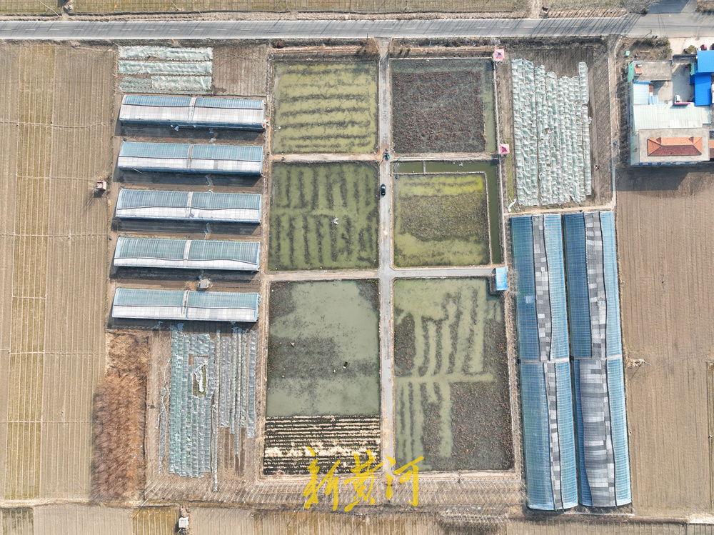 85后幼师辞掉教师编制 转行新农人年入500万元 