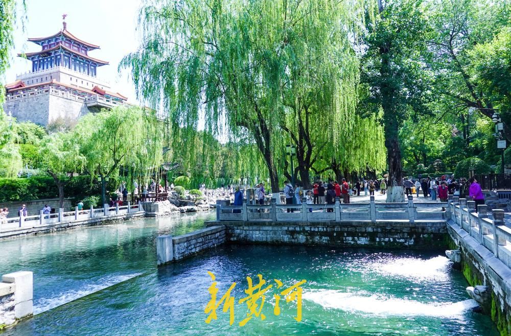 雨后泉涌更欢畅，趵突泉地下水位较去年同期高出1.24米