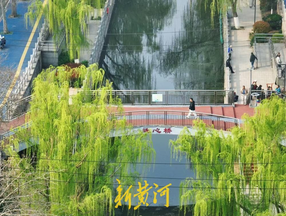 垂柳依依 济南工商河畔春色如画