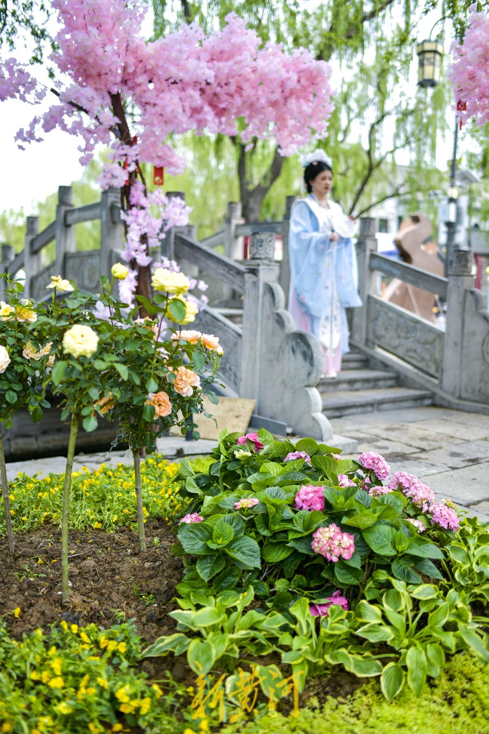 老城街巷里的“莫奈花园” 感受限定版的古城浪漫   