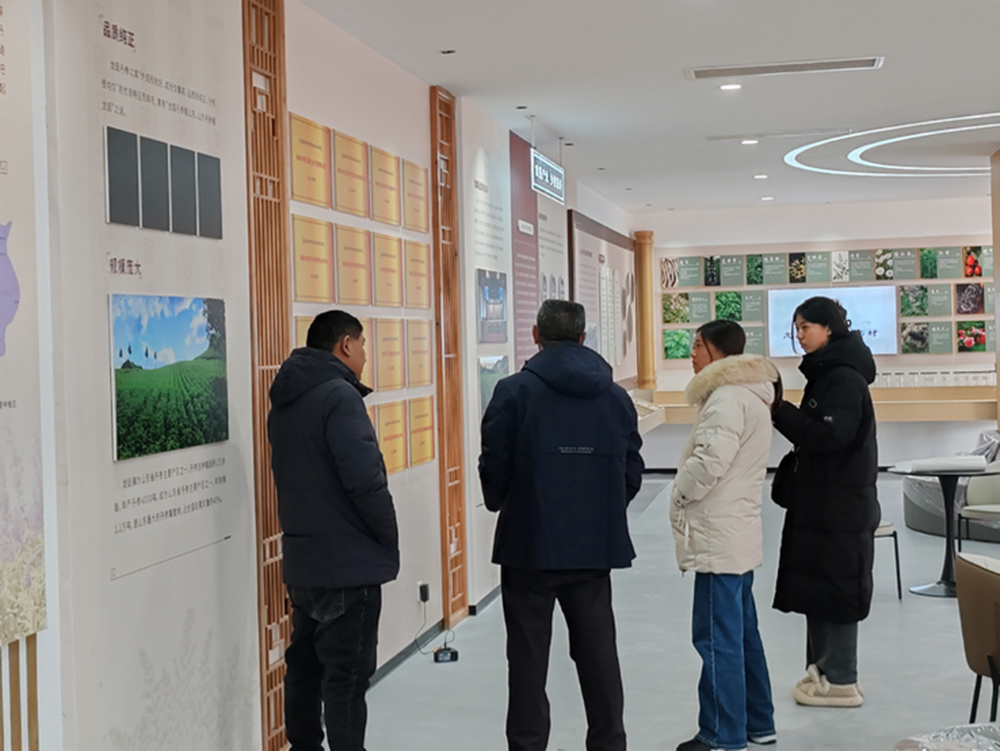 2025-02-17 15:05:16.172000