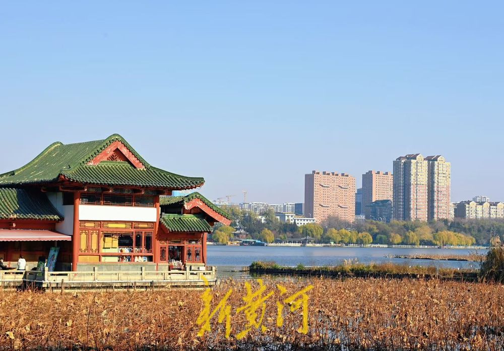 大明湖畔上演残荷风光，尽显冬日美景