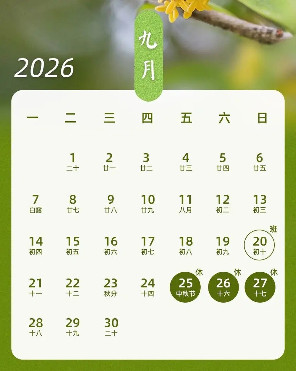 漳州最新通知!上班时间有变!-新黄河APP