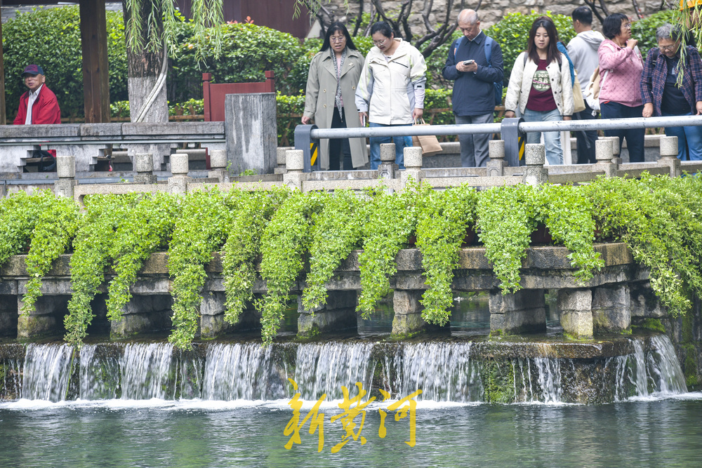 一年四季 泉在济南丨绵绵秋雨补水源 黑虎泉群“泉涌如轮”