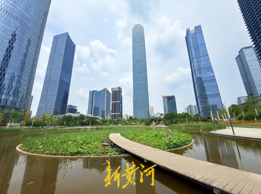 夏至荷韵！济南CBD“五指山”下风景独好