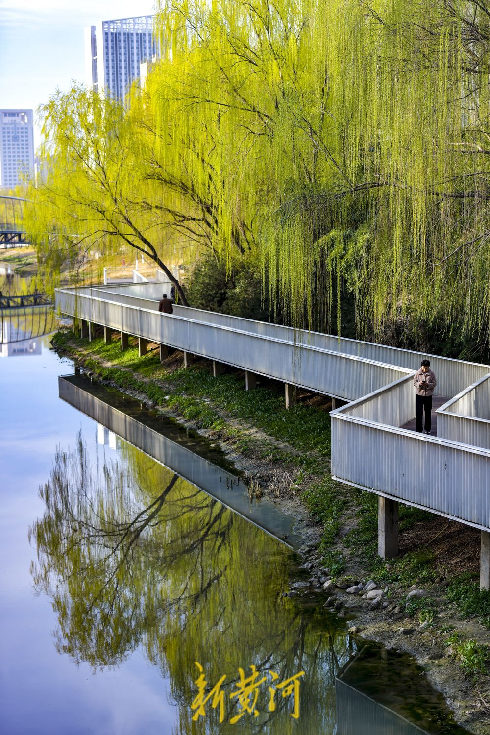 腊山河全线披绿，呈现亲水生态景观带