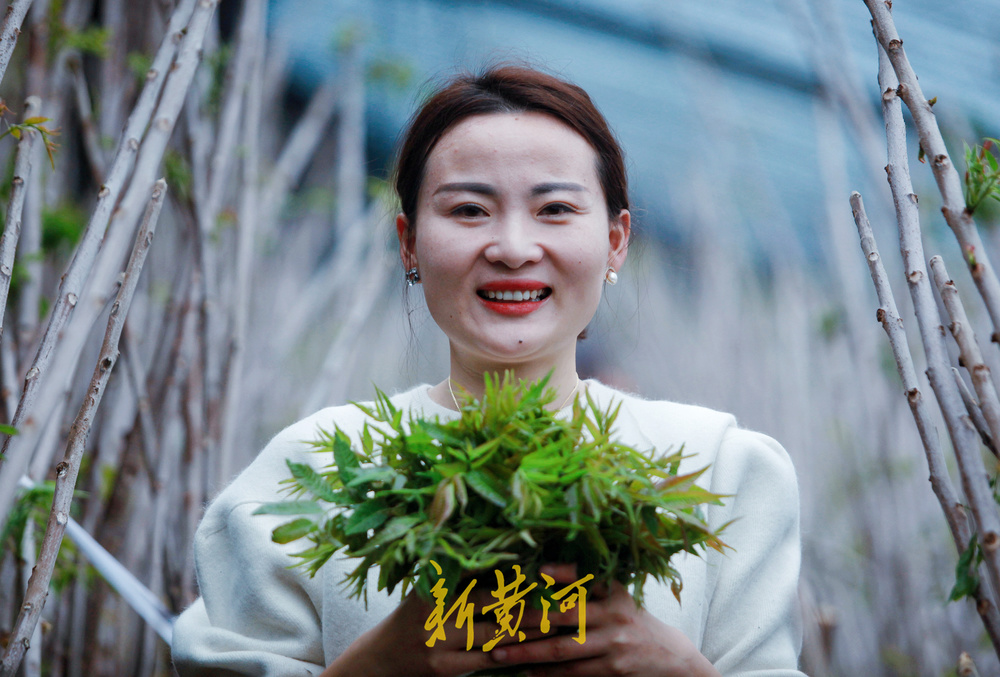 85后幼师辞掉教师编制 转行新农人年入500万元 