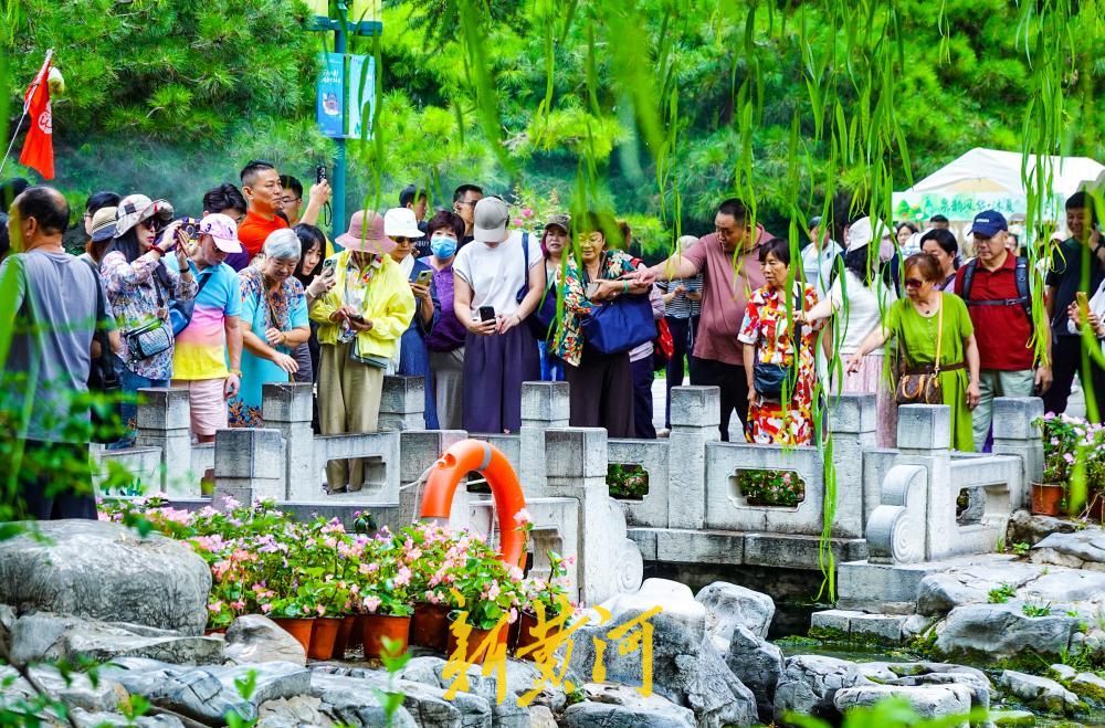 毕业季遇上暑期游 泉城济南旅游市场持续火热