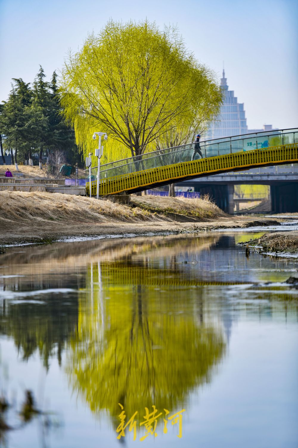 腊山河全线披绿，呈现亲水生态景观带