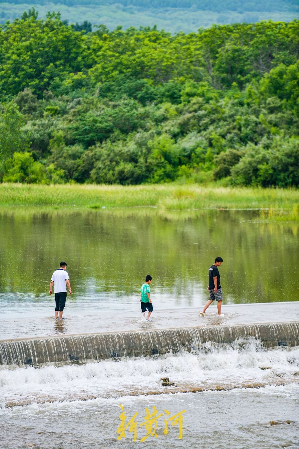 一年四季 泉在济南丨降雨补源，河道再现激流飞瀑
