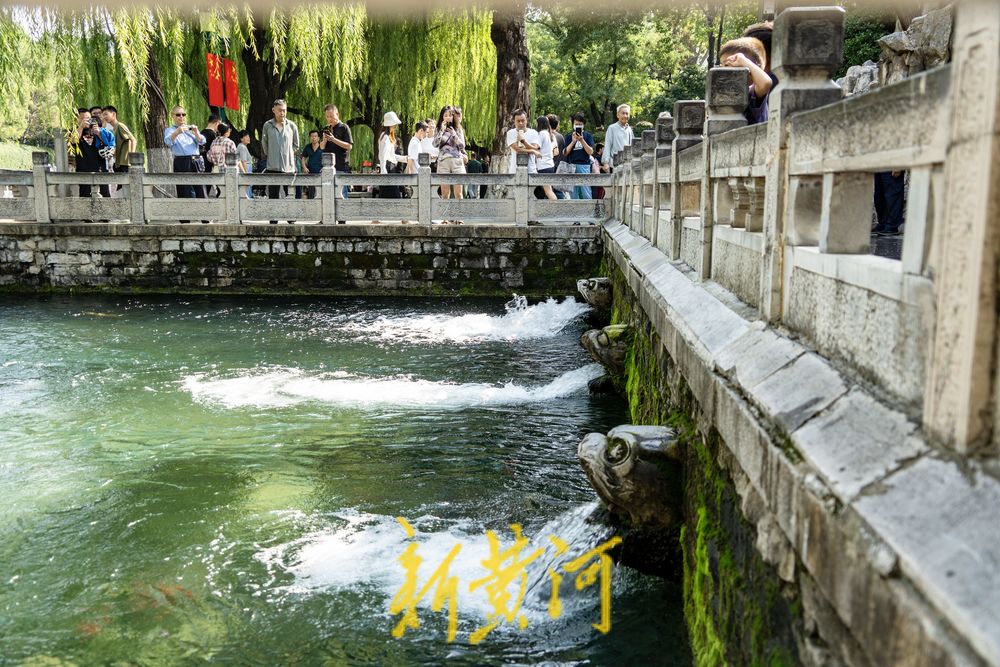 泉涌鱼欢庆佳节！济南黑虎泉畔乐享好时光