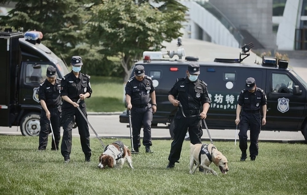 网红柯基警犬“空降”泉城，搜爆、搜毒“百发百中”