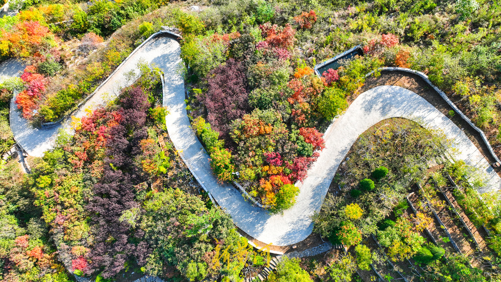 只此青红，山体公园秋色正浓 