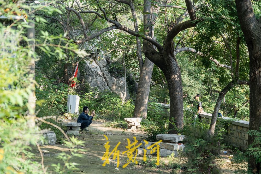 登高望远！秋入蟠龙山，尽享泉城美景