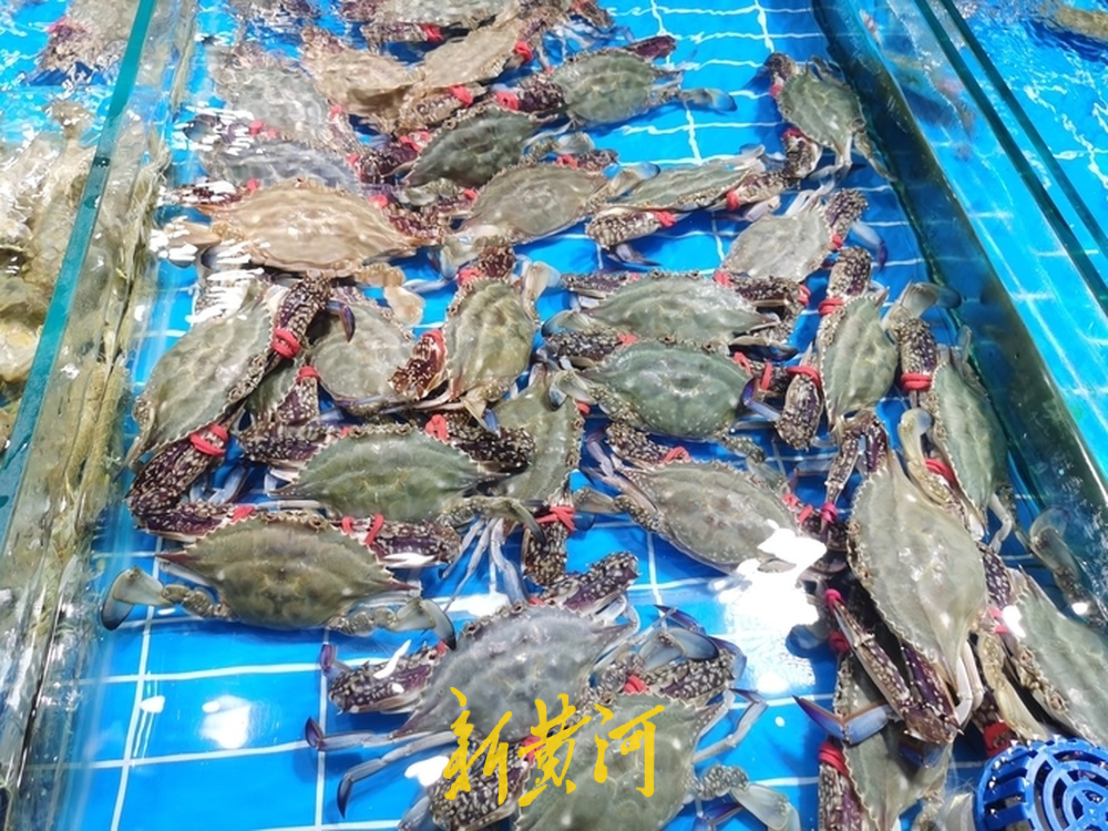 济南中秋市场探访:月饼“轻装上阵”,节礼回归“实在”