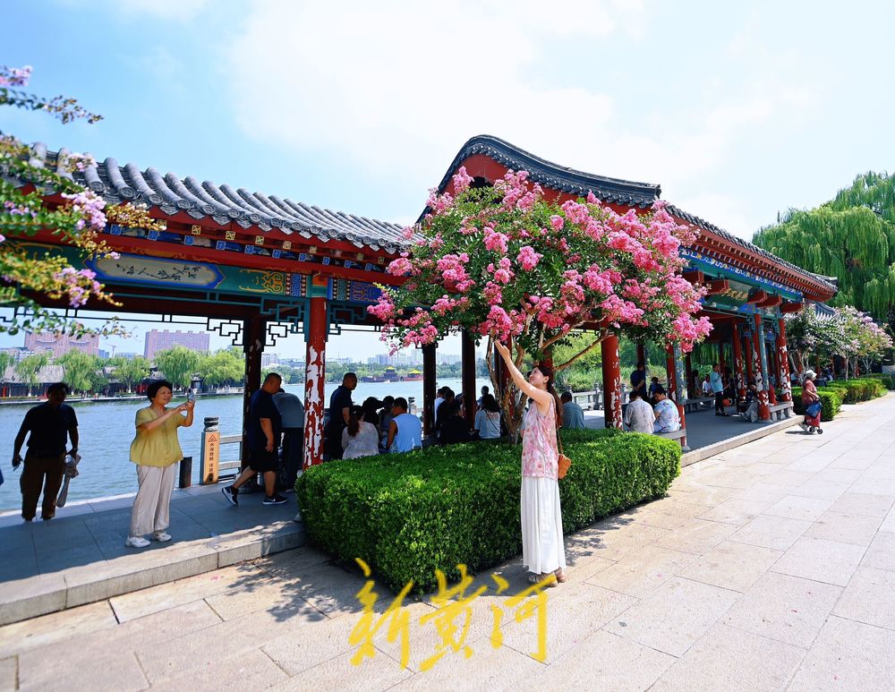 大明湖畔，紫薇等你