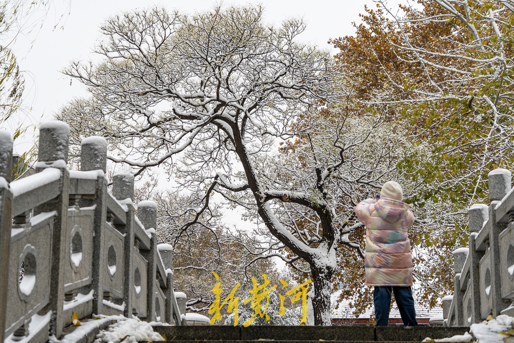 雪后的济南洪家楼教堂似童话世界里的冰雪城堡