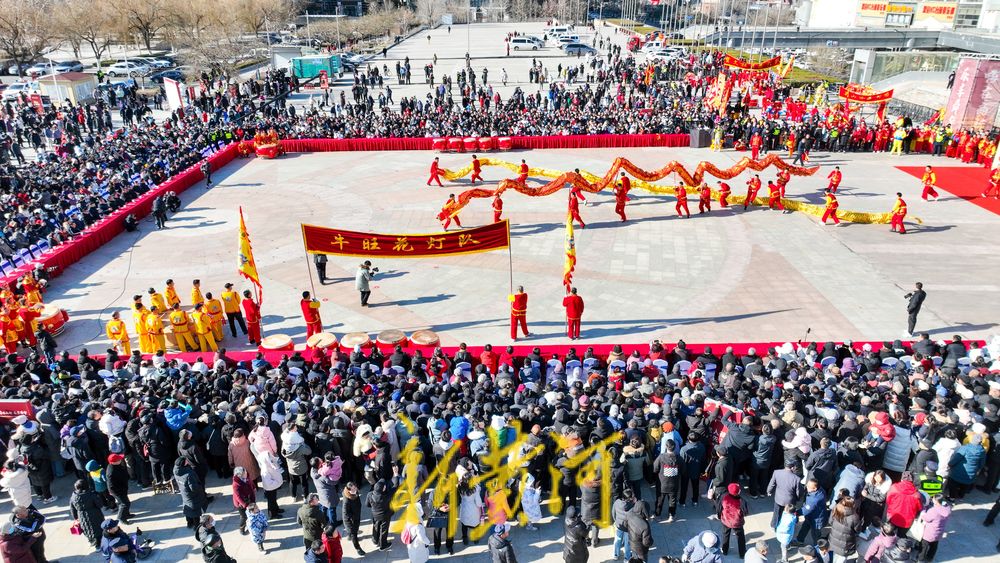 年俗文化节开幕 群龙舞动闹元宵