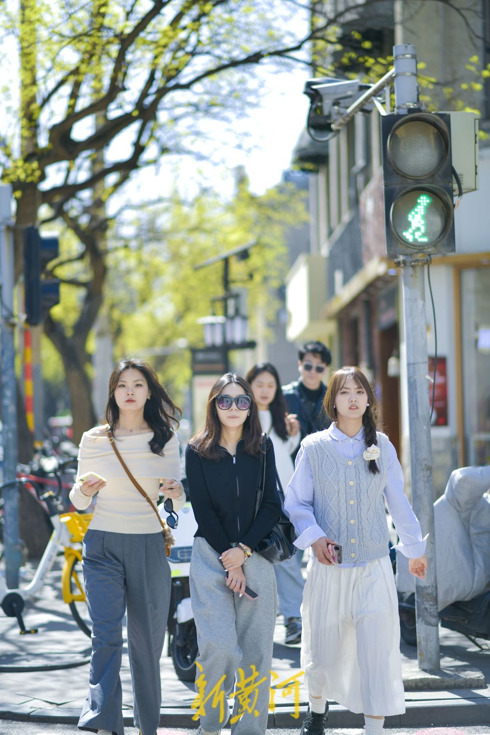 春花齐放增添浪漫气息 老商埠开启春日打卡潮