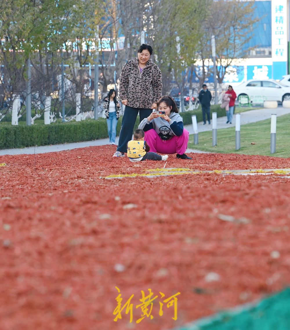 多彩花田浪漫上线，扮靓济南中央商务区