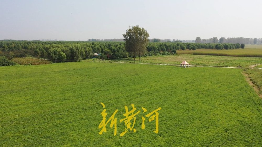 大河奔流高歌行