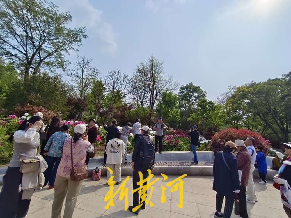 济南紫藤萝瀑布刷屏社交平台，有市民感慨“语文课本照进现实”