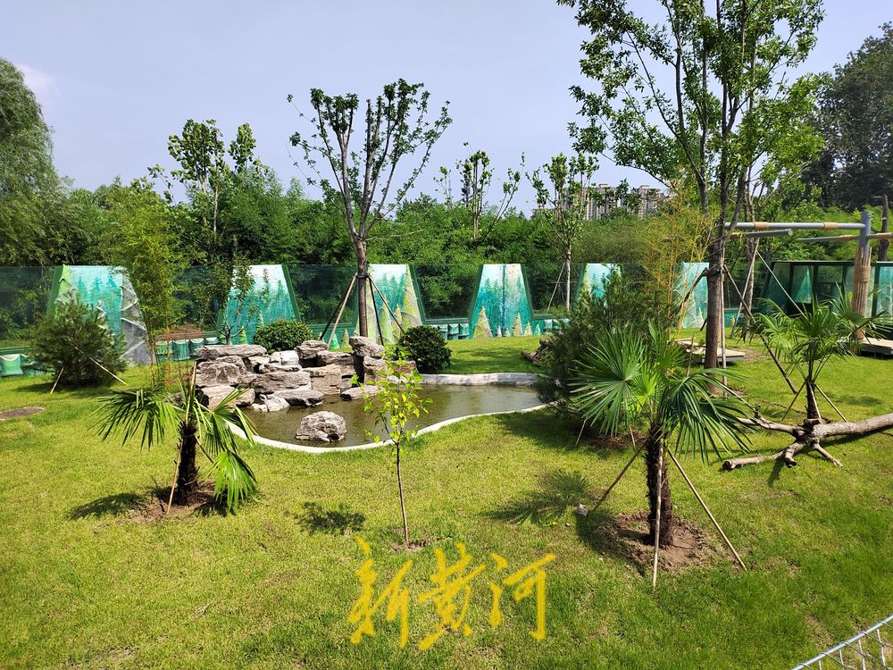 济南动物园新建大熊猫馆国庆节前开馆！大熊猫为什么要搬家？新家长啥样？最新揭秘来了