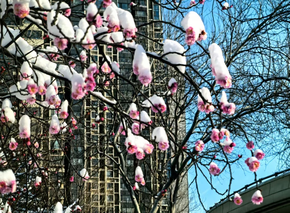 琼楼玉宇，如诗如画！无滤镜无特效的泉城雪景美爆了