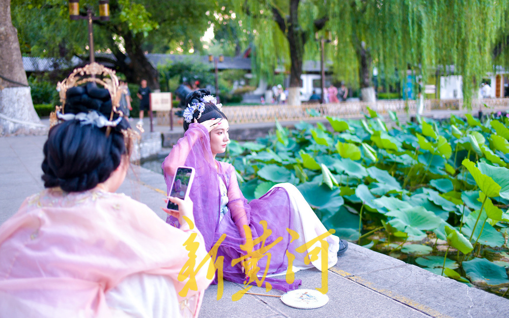 明湖堤岸变身网红打卡点  沉浸式体验“夏雨荷”赏荷