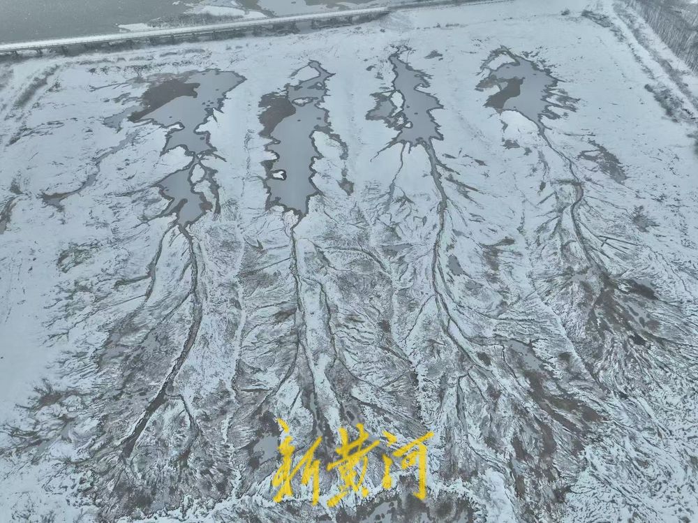 “冰雪潮汐树”现身济南黄河北岸，尽显自然之美