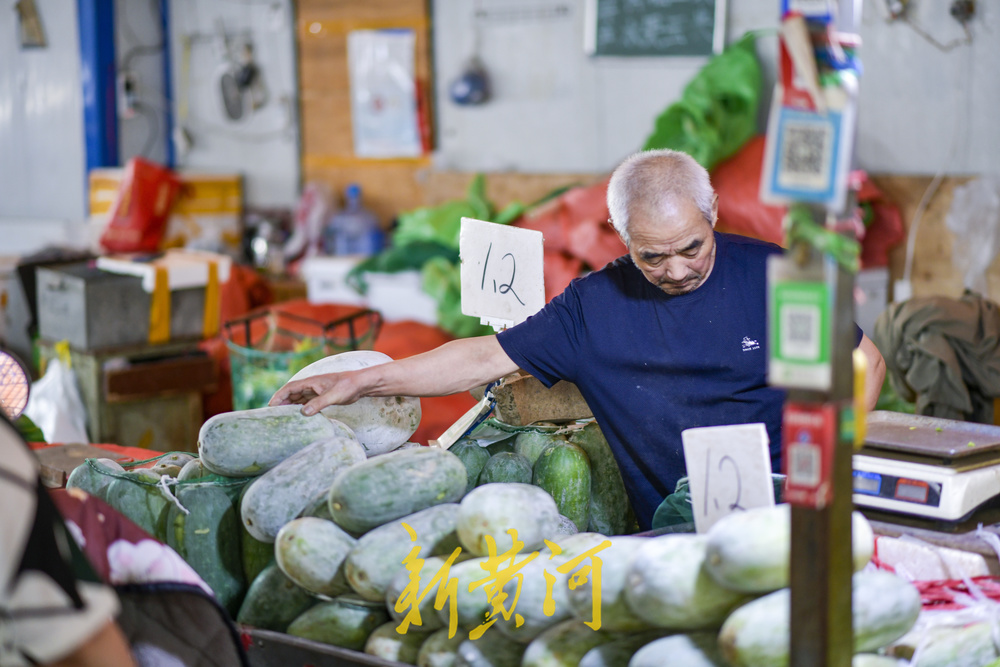 济南蔬菜15涨27降25平，青叶类价格进一步回落  