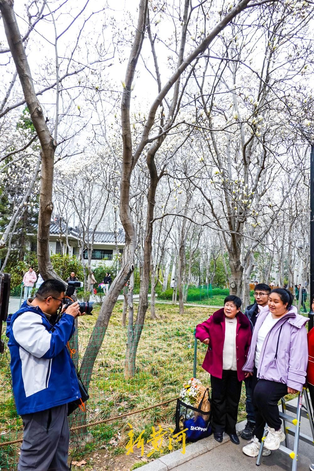 济南：赏花游带火“梯子上的商拍经济”