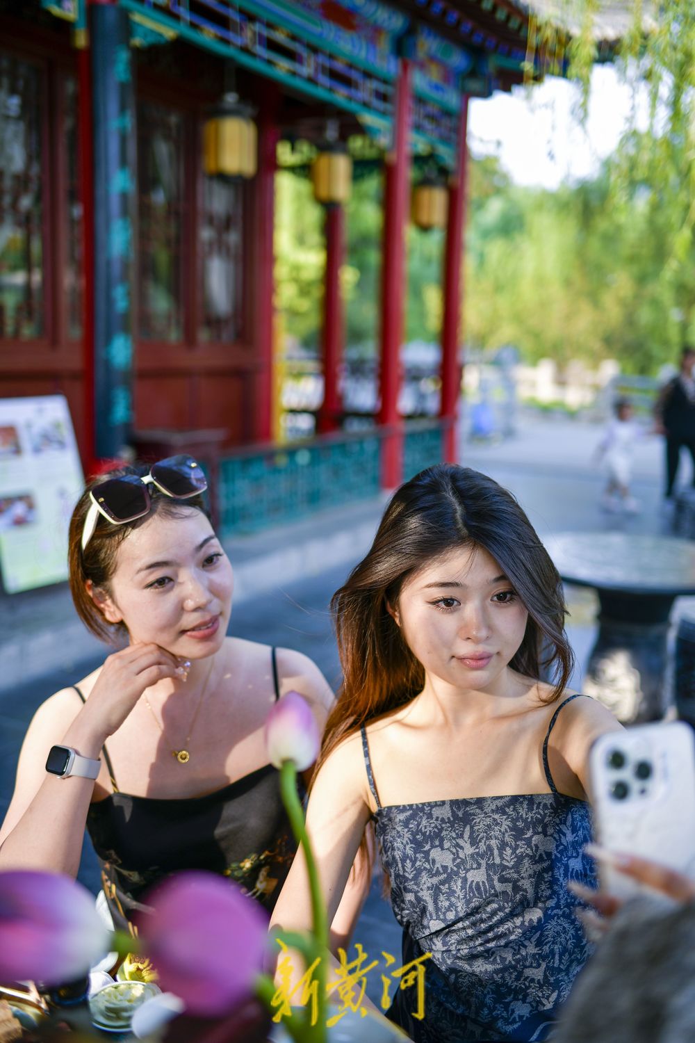 大明湖畔有“凉”方 赏荷打卡品美食  