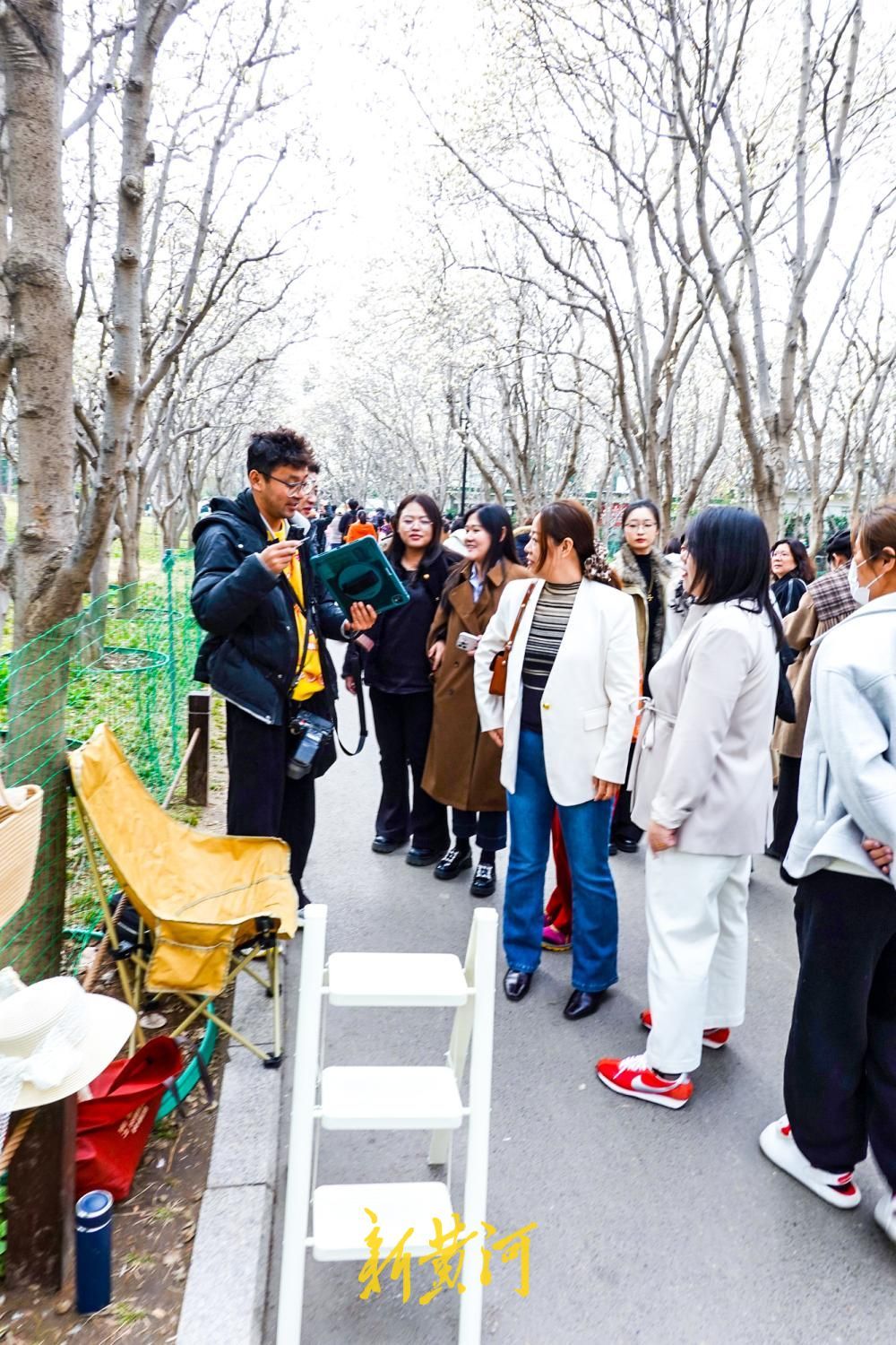 济南：赏花游带火“梯子上的商拍经济”