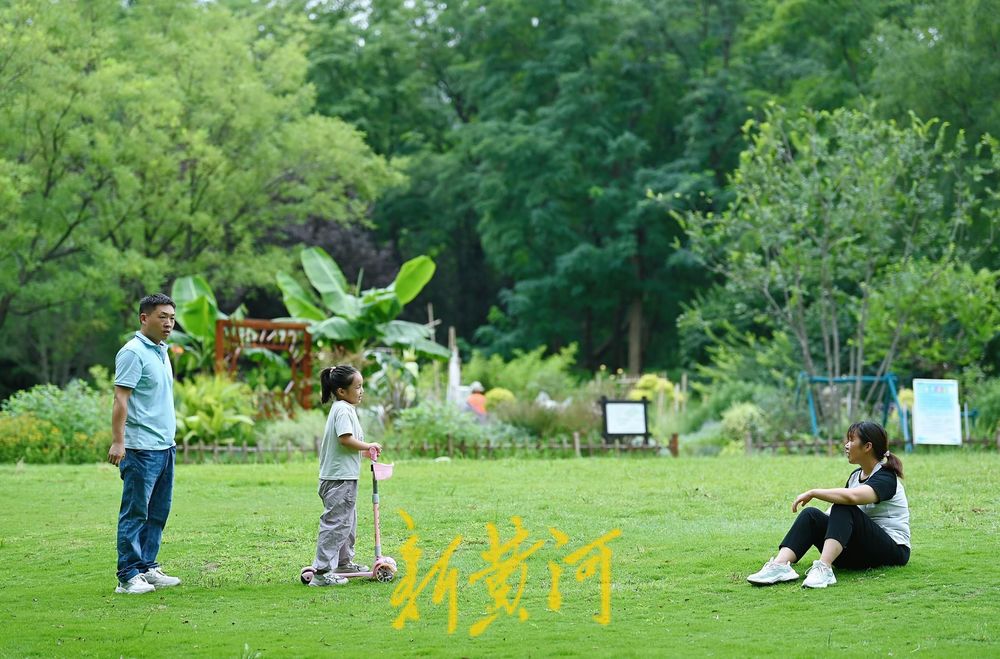 漫步森林公园树荫小道 感受初秋的清凉