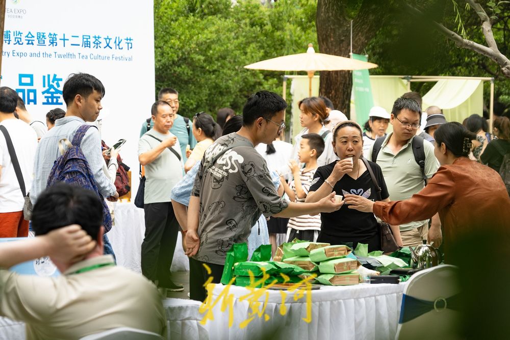 趵突泉旁品茶香 全国游客说心声