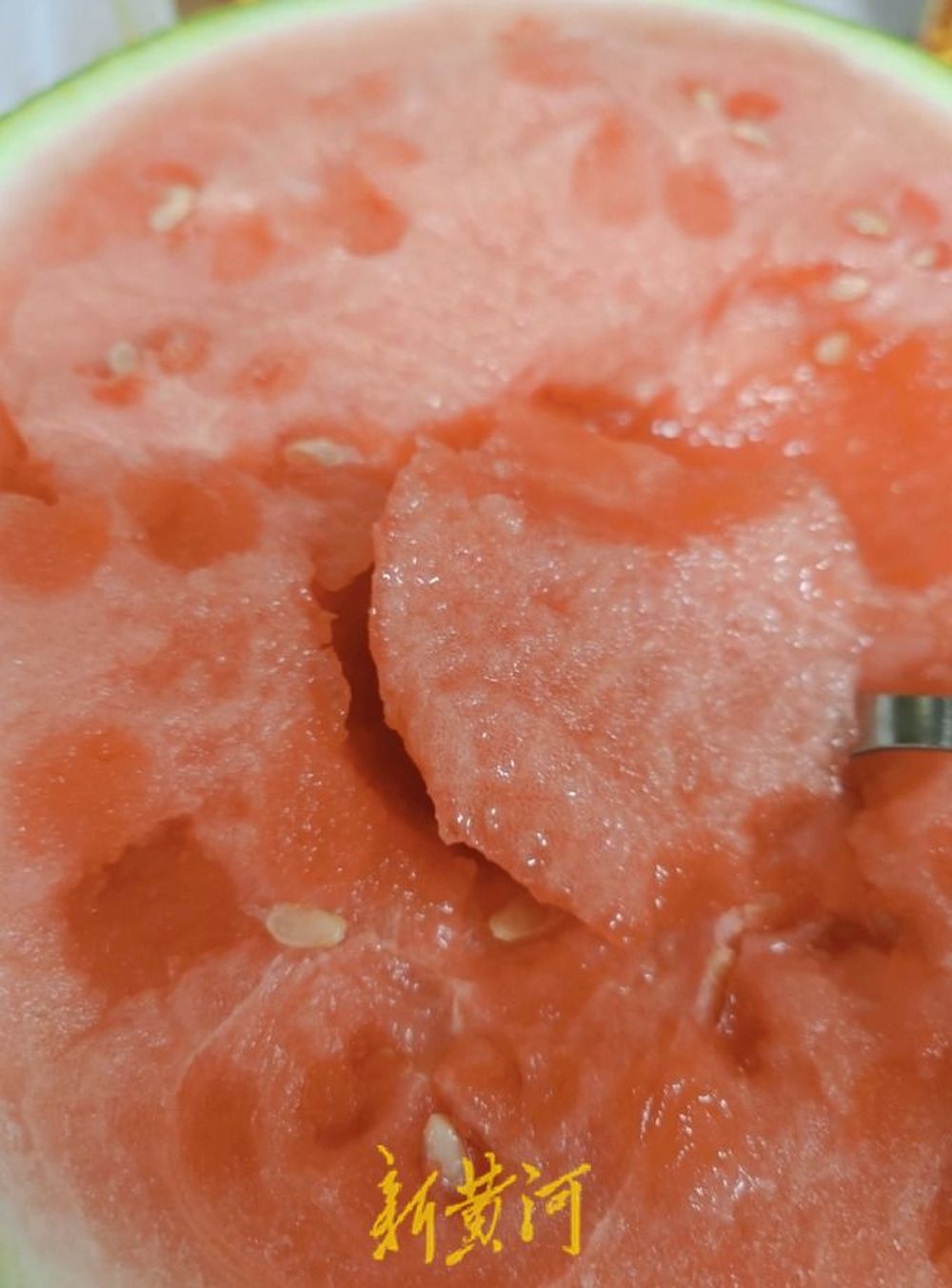 价格亲民 小型西瓜跃升济南夏日水果“C位”