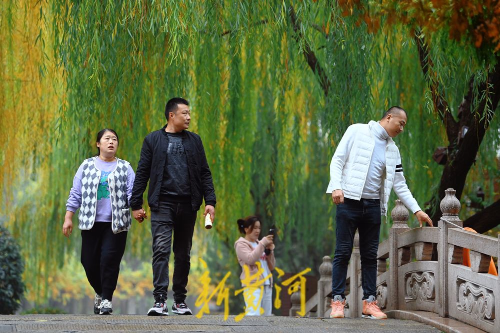 雨后大明湖，冬雾中更显宁静与祥和