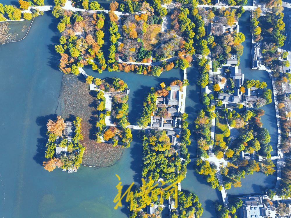 大明湖进入冬日多彩斑斓季，绘就泉城绝美画卷