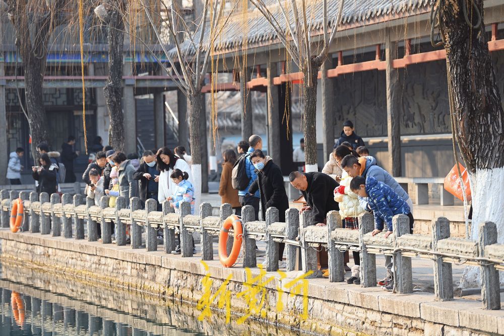 腊月暖如春，济南五龙潭游人如织欢乐多 